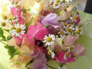 チラチラ｜「ますかわ花店」　（広島県東広島市の花キューピット加盟店 花屋）のブログ
